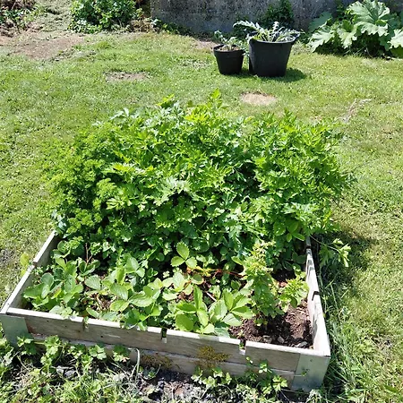 Casa de Férias Maison Du Mont Cesar Montchaton