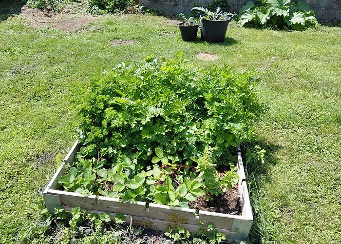 Holiday home Maison Du Mont Cesar Montchaton